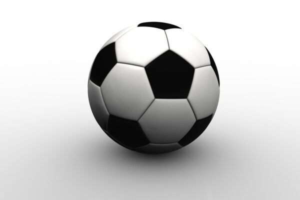 PSSI PADANG SIDEMPUAN: Sejarah Perjuangan di Liga 3